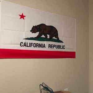 California Republic Wall Flag - Red, White, Green, Brown, Black